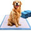 Wee Wee Pads Dog Training Pads by Central Garden Pet-5