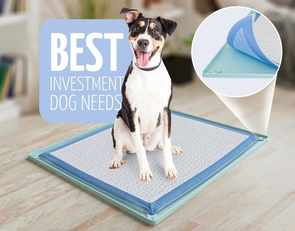 Skywin Silicone Puppy Pad Holder Tray for Dogs-5