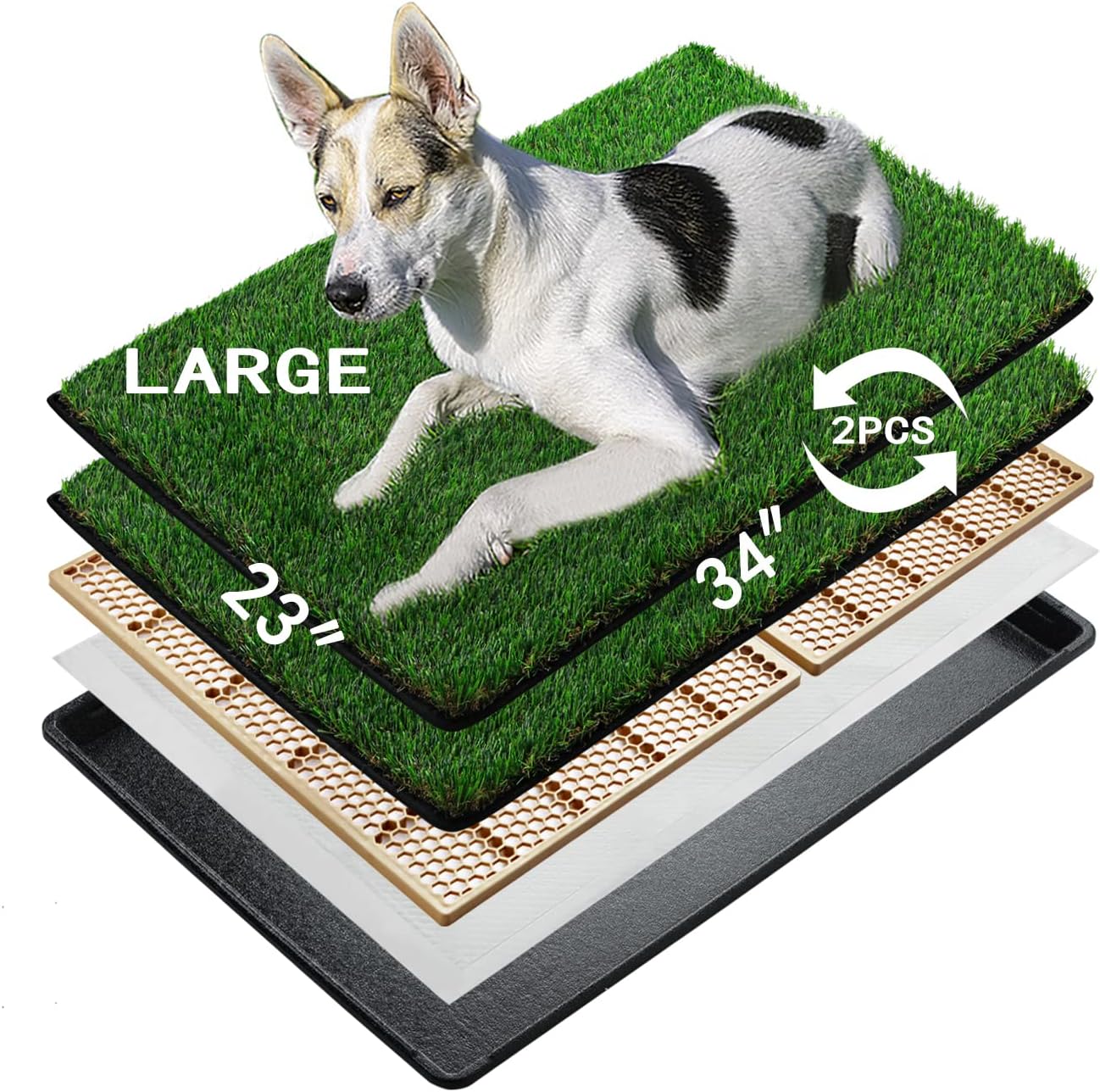 Dog using the litter box