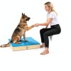 Bhyhok Dog Training Platform Wood EVA Puppy Medium Dogs-6