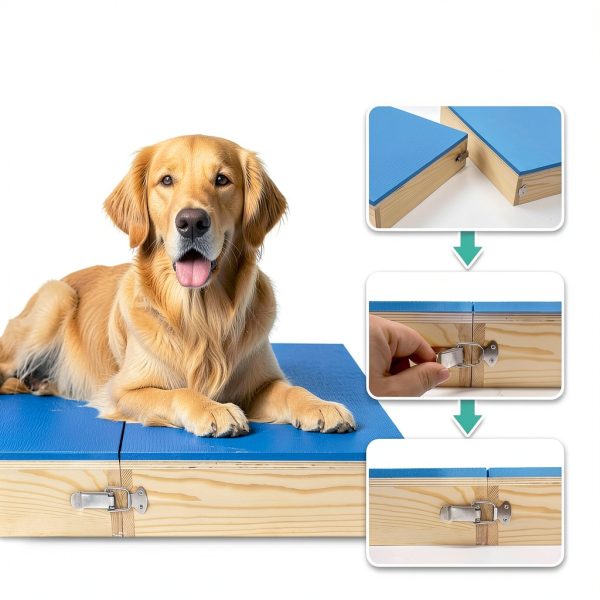 Bhyhok Dog Training Platform Wood EVA Puppy Medium Dogs-4