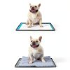 Petvolve Dog Pee Pad Holder Leak Proof Washable Silicone-1