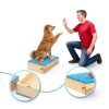 Bhyhok Dog Training Platform Wood EVA Puppy Medium Dogs-2