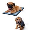 Skywin Silicone Puppy Pad Holder Tray for Dogs-3