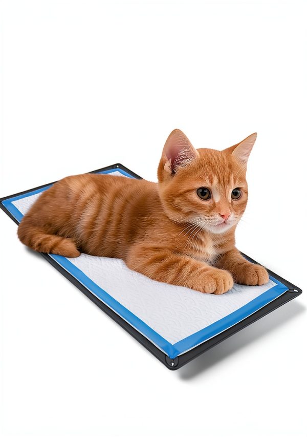 Skywin Silicone Puppy Pad Holder Tray for Dogs-2