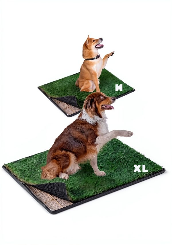Dog Litter Box by MEEXPAWS Artificial Grass Pads-4
