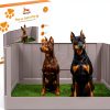 LAZZIPET Indoor Dog Potty Puppy Litter Box Training System-6